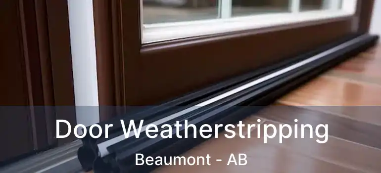  Door Weatherstripping Beaumont - AB
