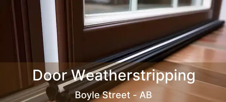  Door Weatherstripping Boyle Street - AB