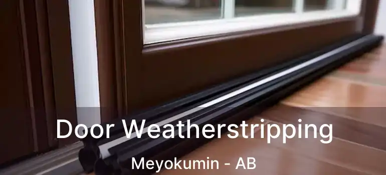  Door Weatherstripping Meyokumin - AB