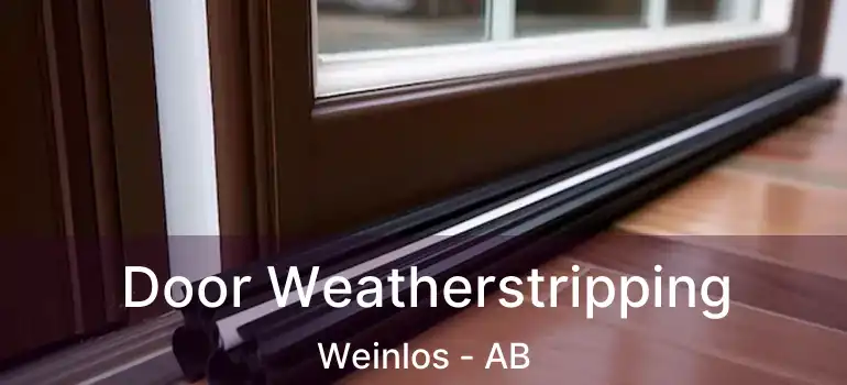  Door Weatherstripping Weinlos - AB