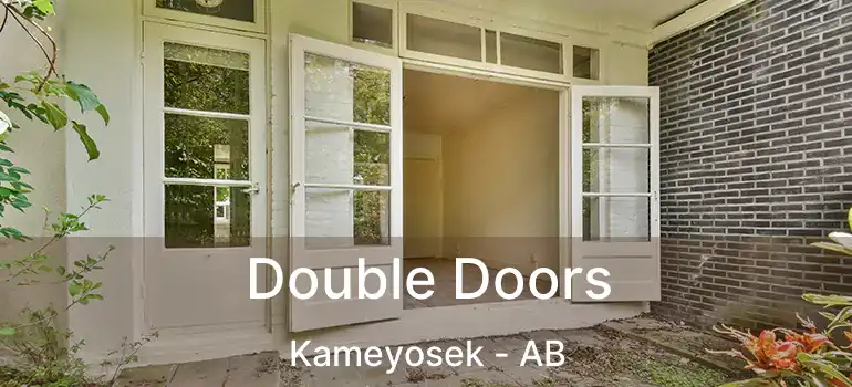  Double Doors Kameyosek - AB