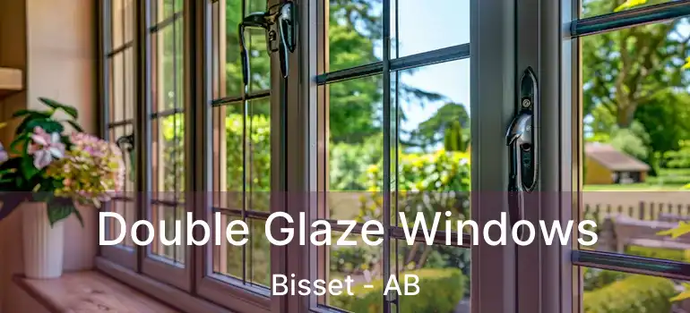 Double Glaze Windows Bisset - AB