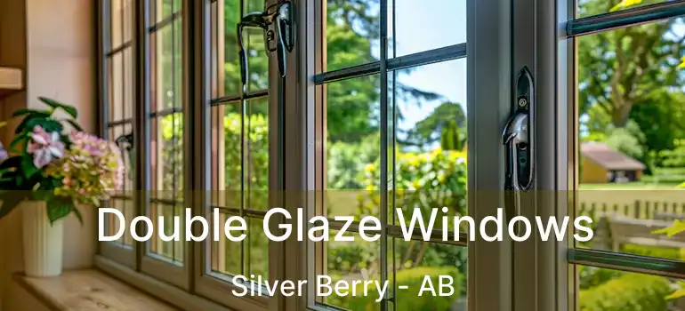  Double Glaze Windows Silver Berry - AB