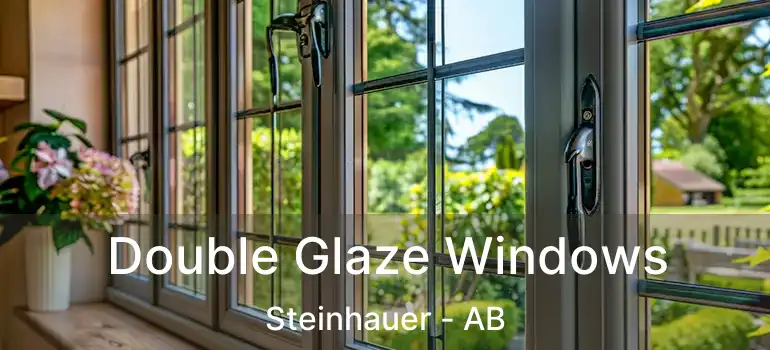  Double Glaze Windows Steinhauer - AB