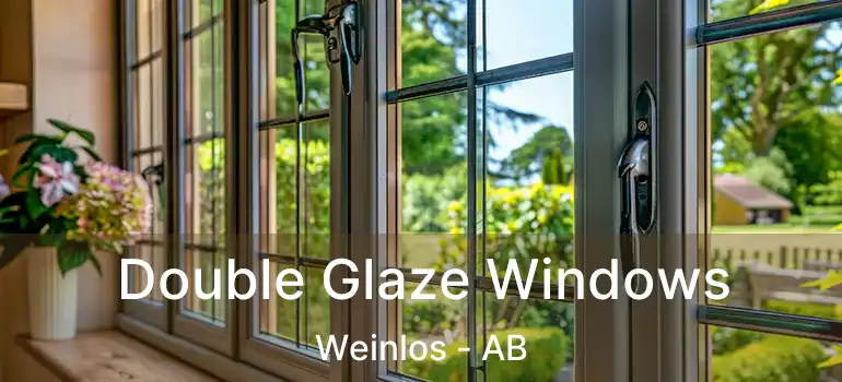  Double Glaze Windows Weinlos - AB