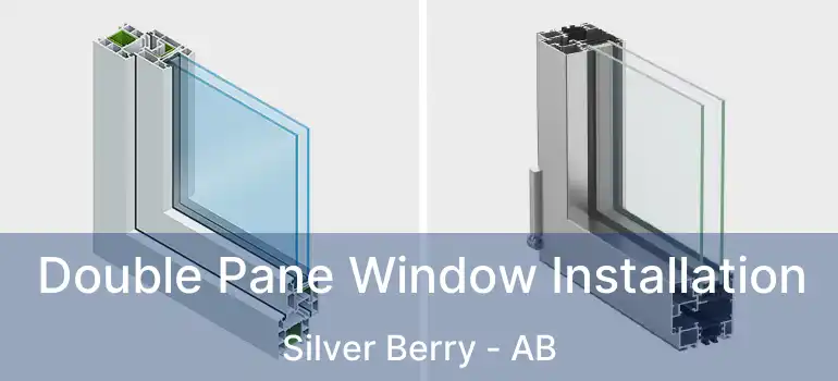  Double Pane Window Installation Silver Berry - AB