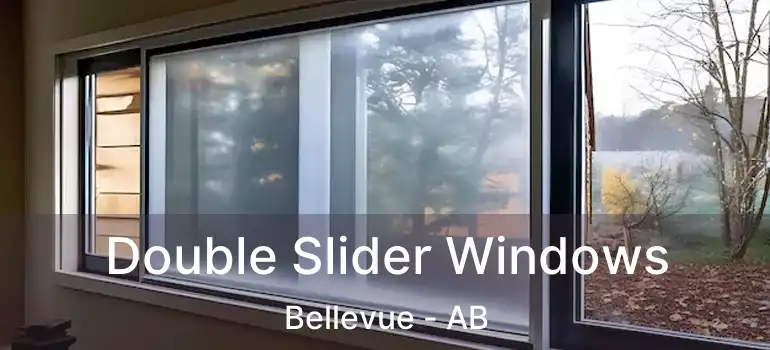  Double Slider Windows Bellevue - AB