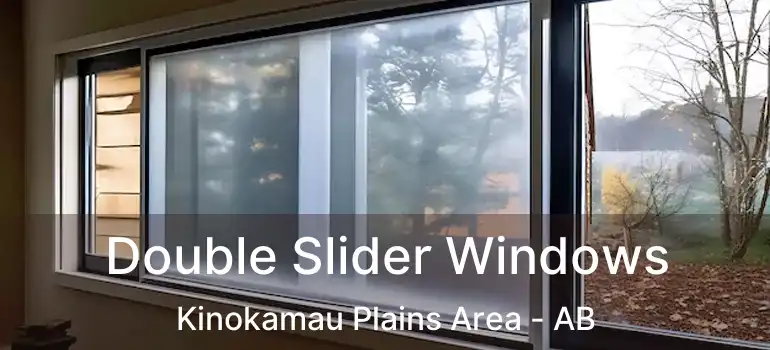  Double Slider Windows Kinokamau Plains Area - AB