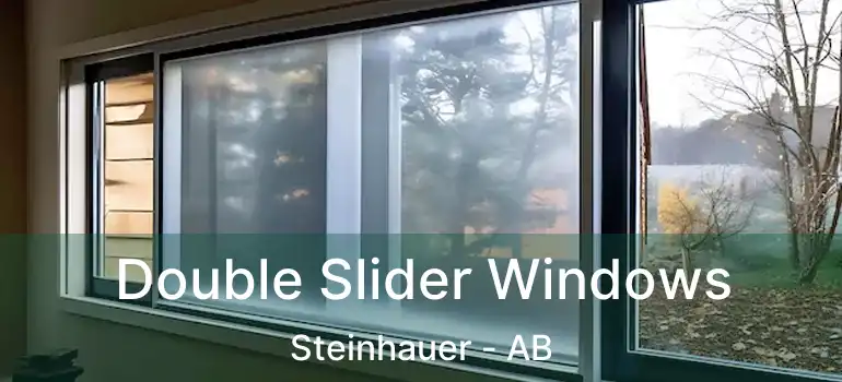  Double Slider Windows Steinhauer - AB