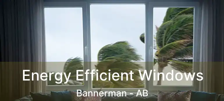  Energy Efficient Windows Bannerman - AB