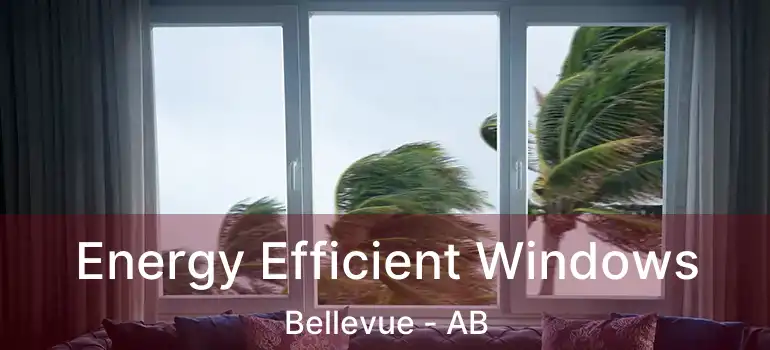  Energy Efficient Windows Bellevue - AB
