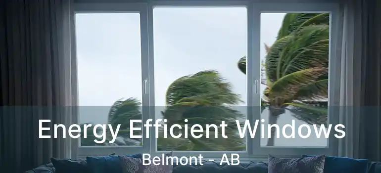  Energy Efficient Windows Belmont - AB