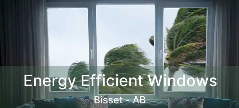  Energy Efficient Windows Bisset - AB