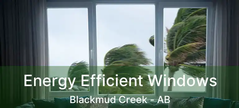  Energy Efficient Windows Blackmud Creek - AB