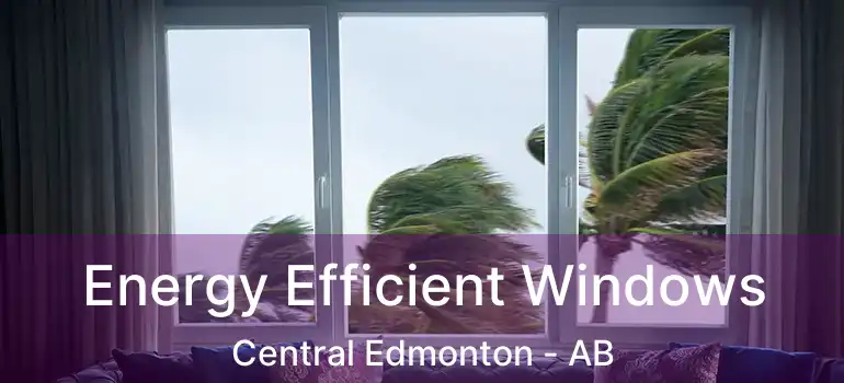 Energy Efficient Windows Central Edmonton - AB