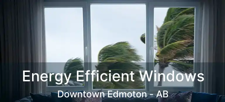  Energy Efficient Windows Downtown Edmoton - AB