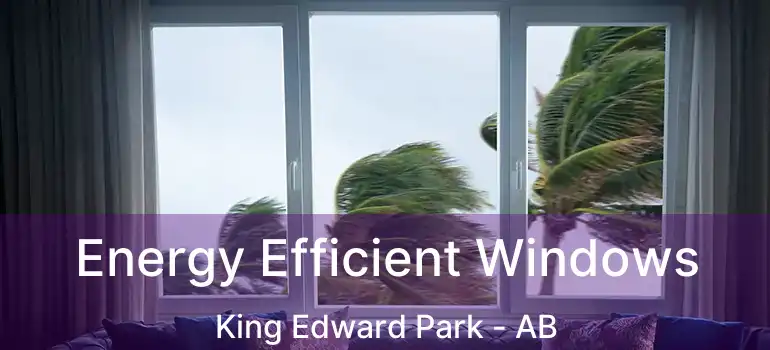  Energy Efficient Windows King Edward Park - AB