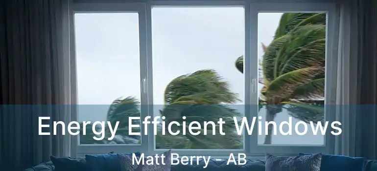  Energy Efficient Windows Matt Berry - AB