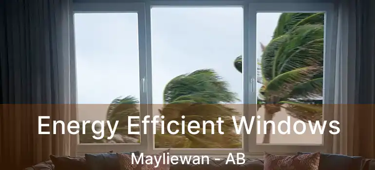  Energy Efficient Windows Mayliewan - AB