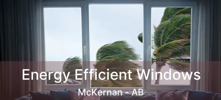  Energy Efficient Windows McKernan - AB