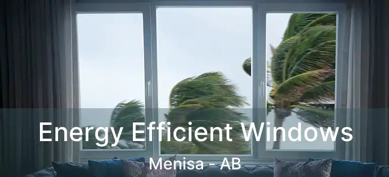 Energy Efficient Windows Menisa - AB