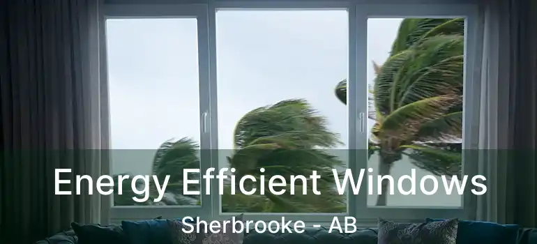  Energy Efficient Windows Sherbrooke - AB