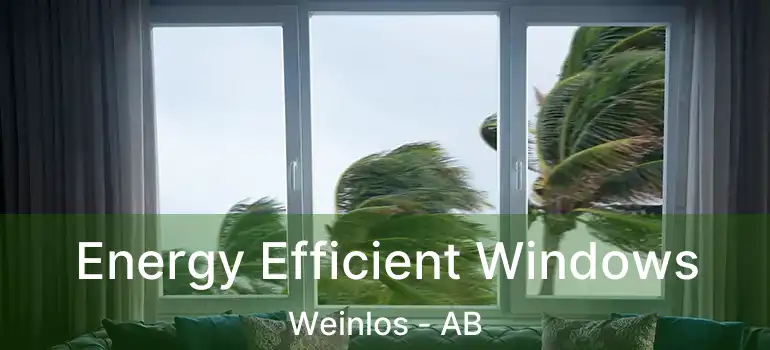  Energy Efficient Windows Weinlos - AB