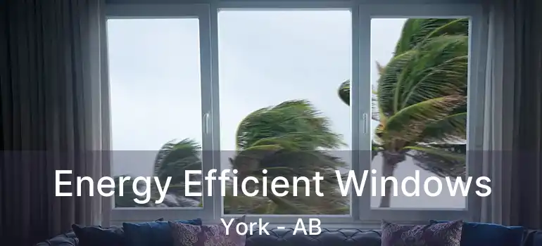  Energy Efficient Windows York - AB