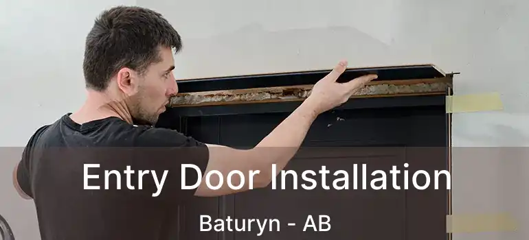  Entry Door Installation Baturyn - AB