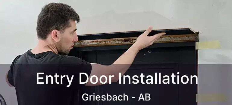 Entry Door Installation Griesbach - AB
