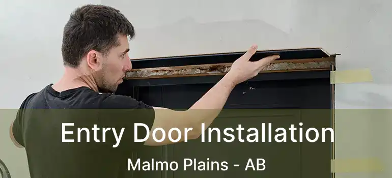  Entry Door Installation Malmo Plains - AB
