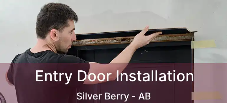  Entry Door Installation Silver Berry - AB