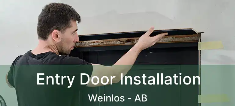  Entry Door Installation Weinlos - AB