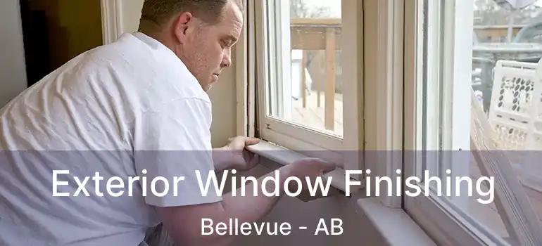  Exterior Window Finishing Bellevue - AB
