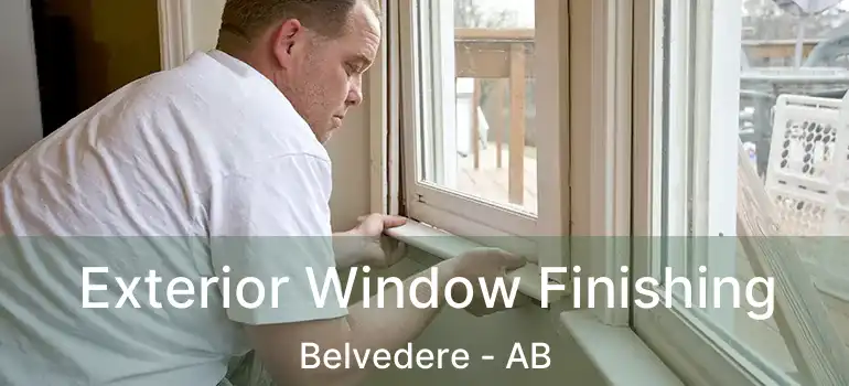  Exterior Window Finishing Belvedere - AB
