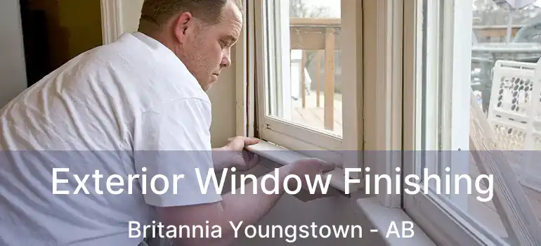  Exterior Window Finishing Britannia Youngstown - AB