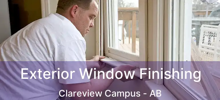  Exterior Window Finishing Clareview Campus - AB