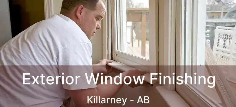  Exterior Window Finishing Killarney - AB