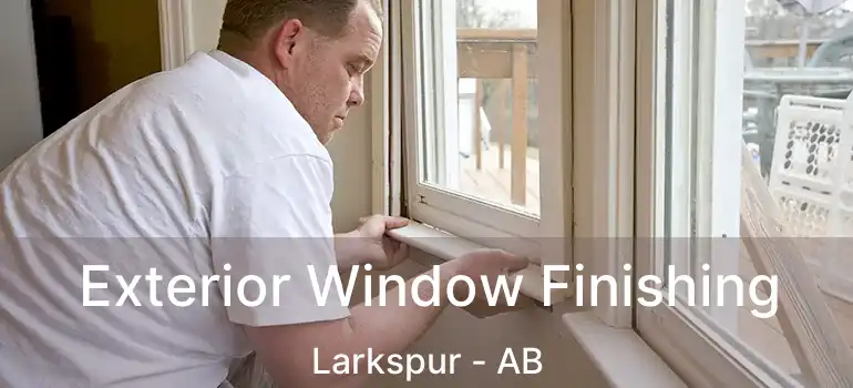  Exterior Window Finishing Larkspur - AB