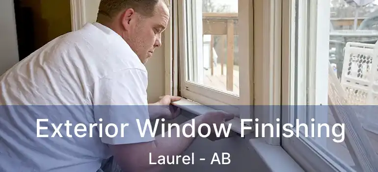  Exterior Window Finishing Laurel - AB
