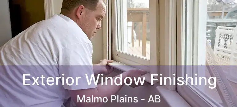  Exterior Window Finishing Malmo Plains - AB