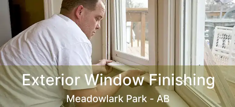  Exterior Window Finishing Meadowlark Park - AB