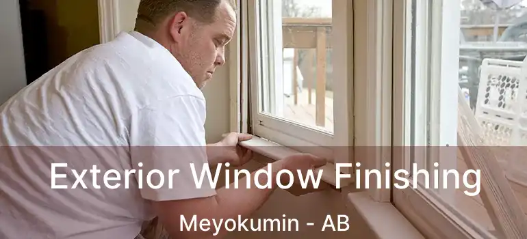  Exterior Window Finishing Meyokumin - AB