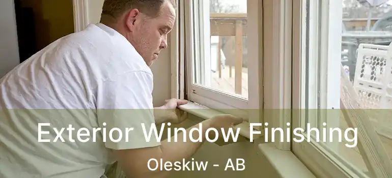  Exterior Window Finishing Oleskiw - AB