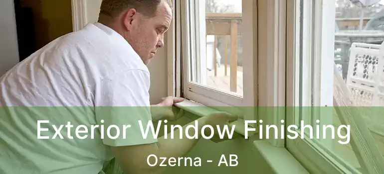  Exterior Window Finishing Ozerna - AB