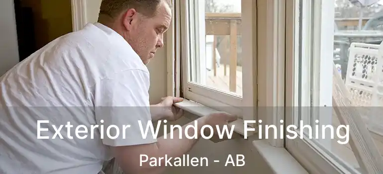  Exterior Window Finishing Parkallen - AB