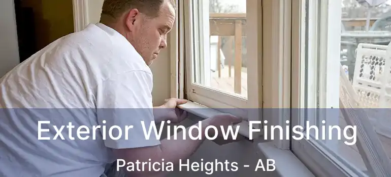  Exterior Window Finishing Patricia Heights - AB