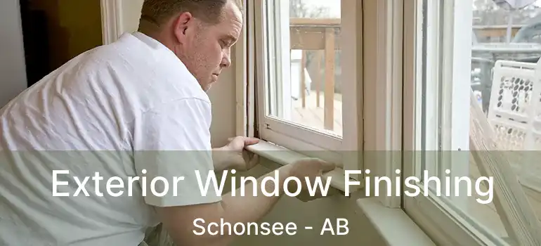  Exterior Window Finishing Schonsee - AB