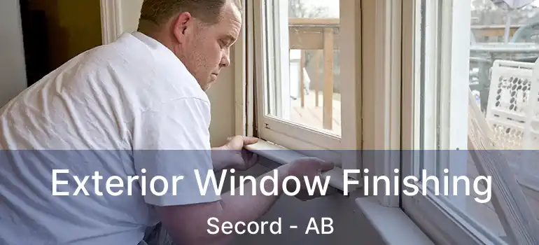  Exterior Window Finishing Secord - AB