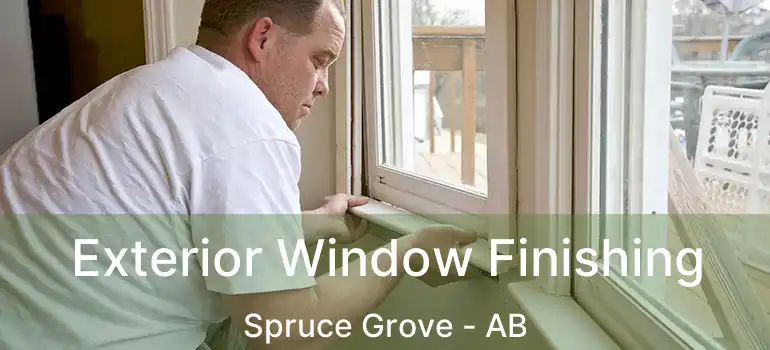  Exterior Window Finishing Spruce Grove - AB